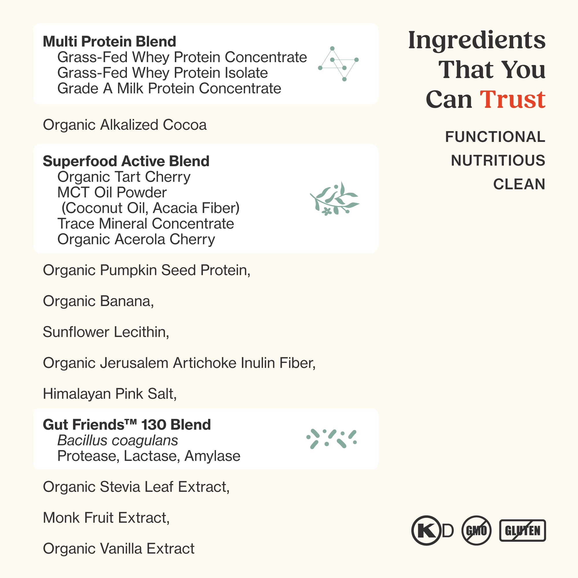 Whey Protein + Superfoods  : Hot Chocolate